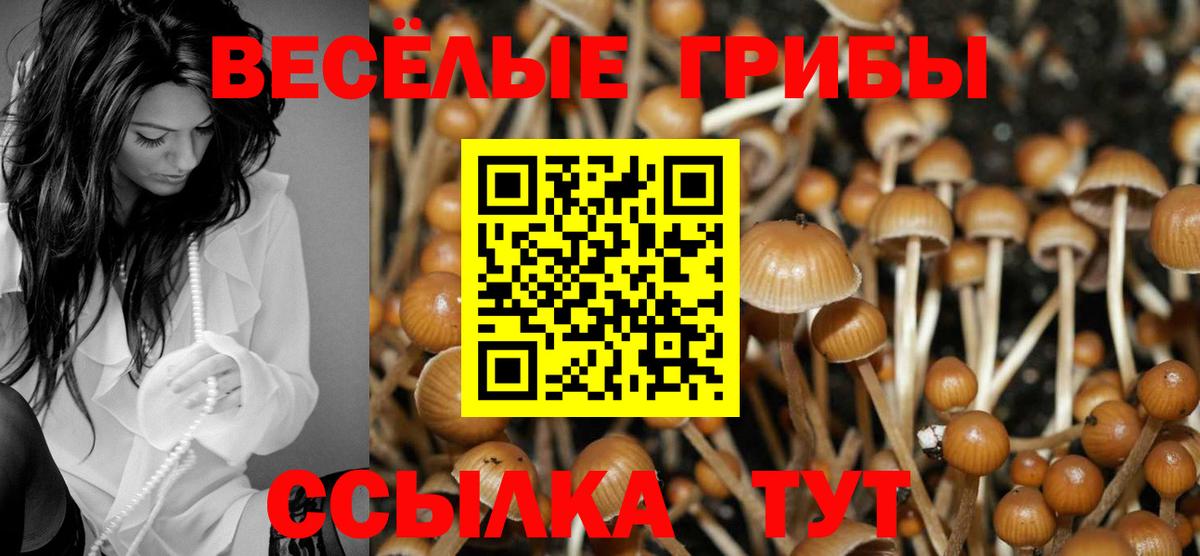 Тимашёвск  Галлюциногенные грибы Psilocybine cubensis  Галлюциногенные грибы Psilocybe  Вход с VPN 