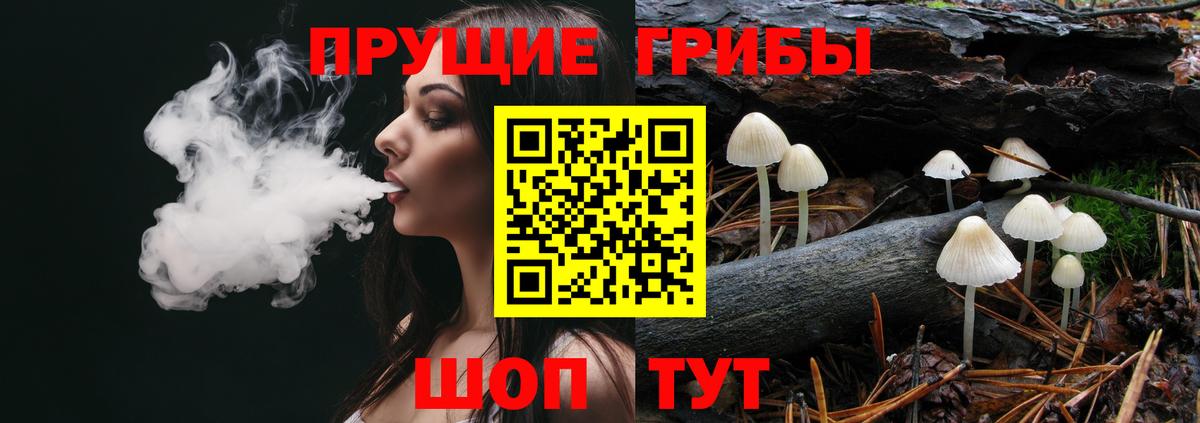 Псилоцибиновые грибы мухоморы Тимашёвск